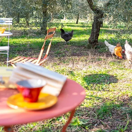 Le Nostre Un Rifugio Personale Bed & Breakfast