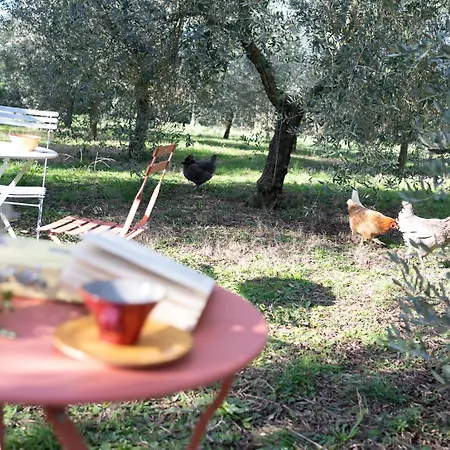 Bed & Breakfast Le Nostre Un Rifugio Personale